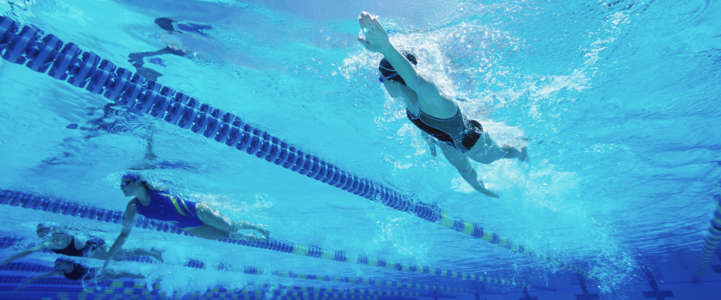 Under water photo of swimmers swimming above